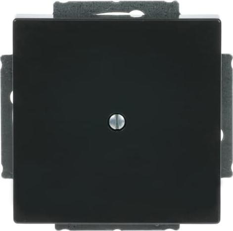 Image du produit Busch-Jaeger Disque central