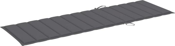 Immagine prodotto VidaXL Hayder (200 x 60 x 3 cm)