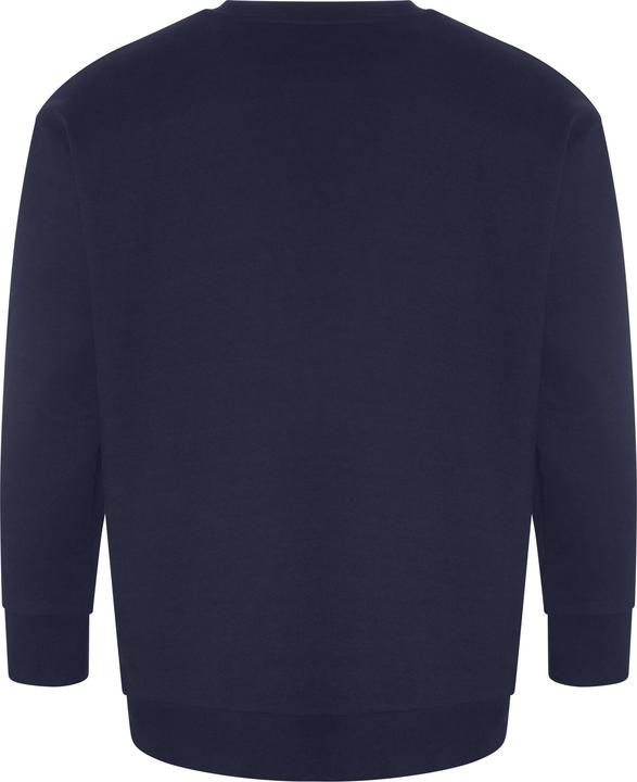Image du produit Awdis Sweat-shirt recyclé Crater (M)
