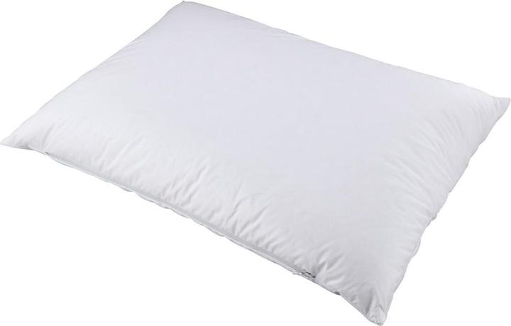 Immagine prodotto Albis Bene Miglio (50 x 70 cm)