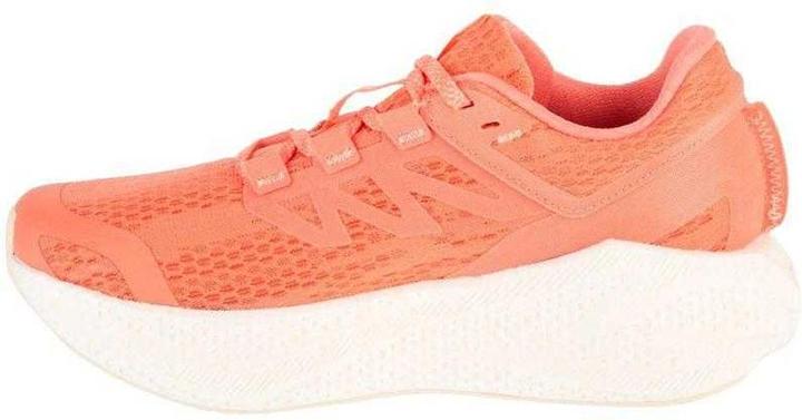 Produktbild Salomon Aero Glide 3 Sneaker (41)