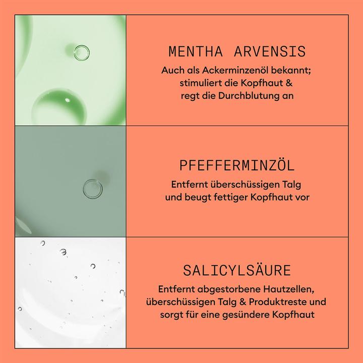 Actual product image Nioxin Cleanser System 4 (300 ml, Liquid shampoo)