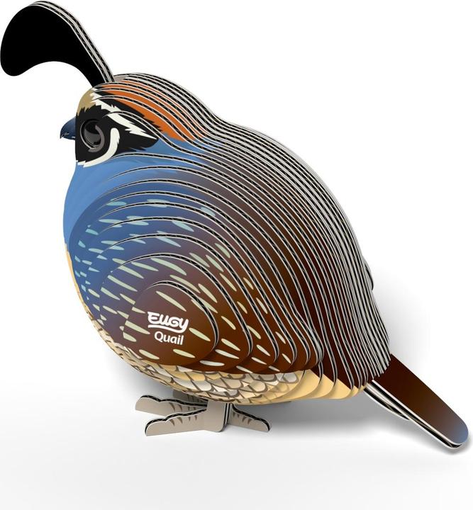 Image du produit Carletto 3D Bastelset Wachtel