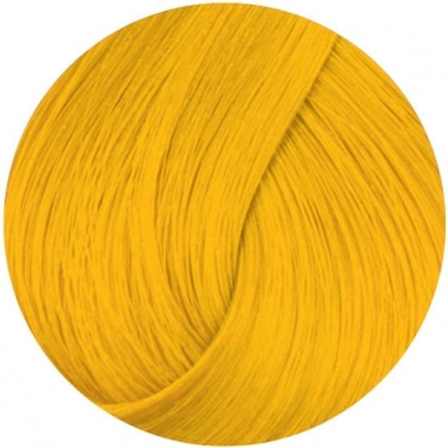 Produktbild Directions Sunflower 89ml (Sunflower)