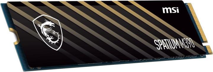 Produktbild MSI Spatium M390 (1000 GB, M.2 2280)
