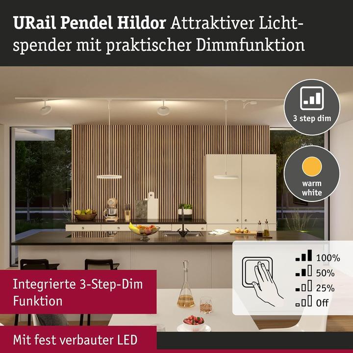 Produktbild Paulmann URail Pendel Hildor (850 lm)