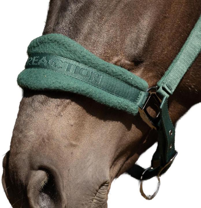 Immagine prodotto Hy ProReaction Cavezza per Cavallo