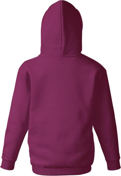 Image du produit Fruit of the Loom Veste à capuche (140)