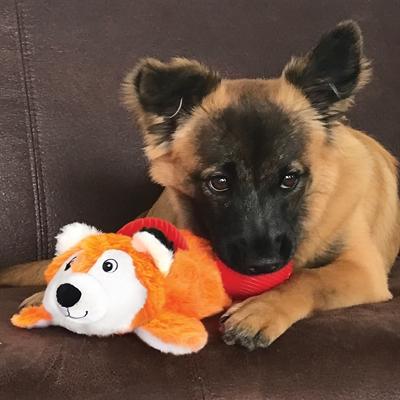 Image du produit KONG Cozie Pocketz Beaver M 24 X 18 X 7,5cm (Jouet en peluche chien)