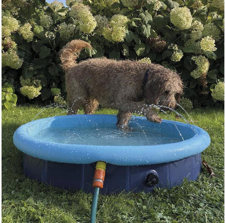 Immagine prodotto Nobby Piscina per cani Splash, 2in1, Ø 80 (Piscina per cani)