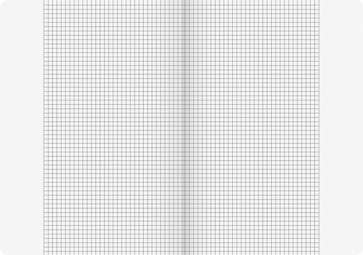 Immagine prodotto Brunnen quaderno (A4, Quadretti)