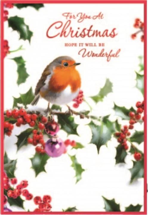 Immagine prodotto Simon Elvin Open Robin Natale Biglietto d'Auguri Misura Confezione 6 (6 pz.)