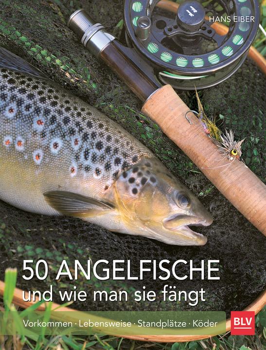 50 Angelfische und wie man sie fängt (22 cm)