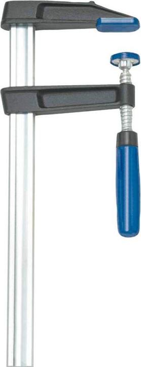 Immagine prodotto Forum Professional Solutions Morsetto a vite in ghisa malleabile, range di serraggio 0-120 mm, profondità della gola 60 mm (120 mm)