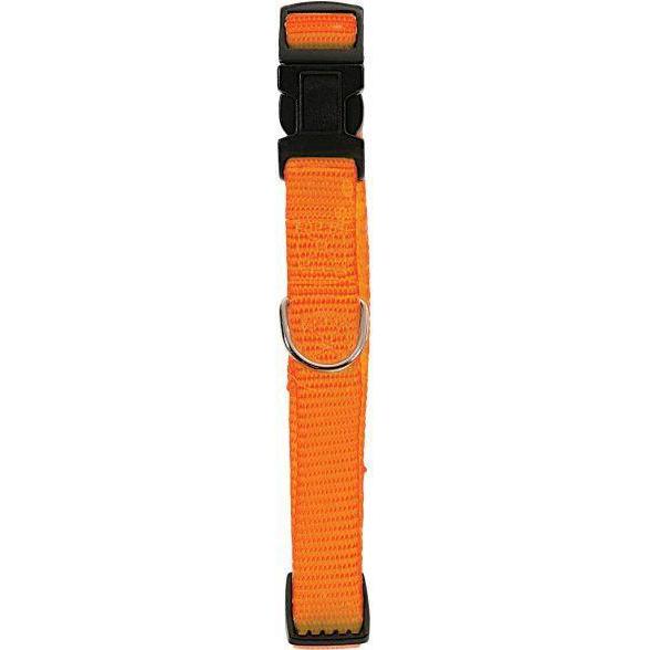 Zolux Adjustable nylon collar 25 mm orange (25, Hund, Allgemein), Halsband + Leine