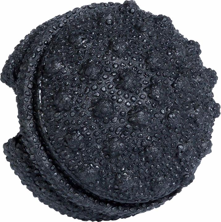 Produktbild Blackroll Twister