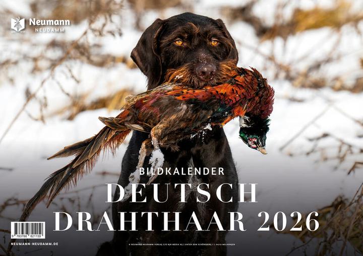 Produktbild Deutsch Drahthaar 2026 (Deutsch)