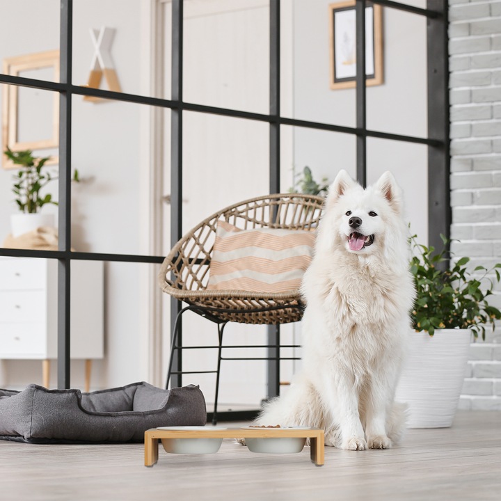 Produktbild Relaxdays Hunde-Futterstation (0.27 l)