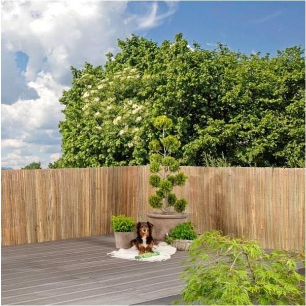 Image du produit Windhager Mitake (300 cm)