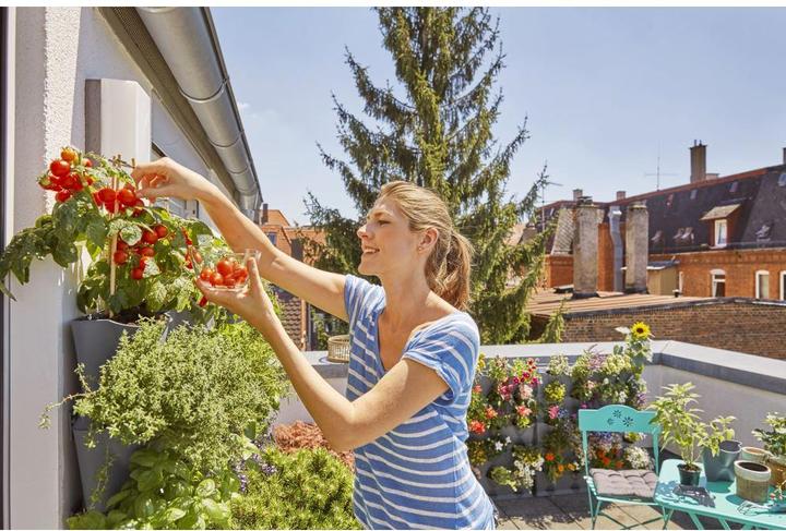 Image du produit Gardena NatureUp