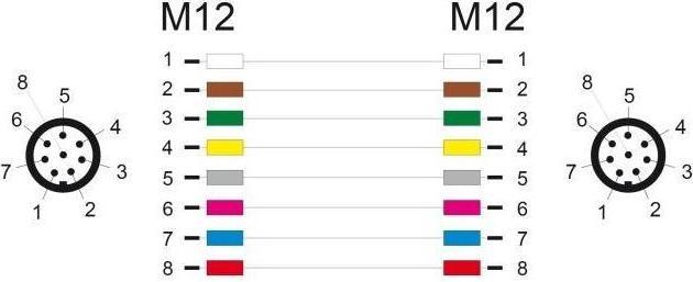Actual product image Delock M12 cable A-coded 8 pin plug to plug PVC 2 m (S/FTP, S/STP, CAT5e, 2 m)
