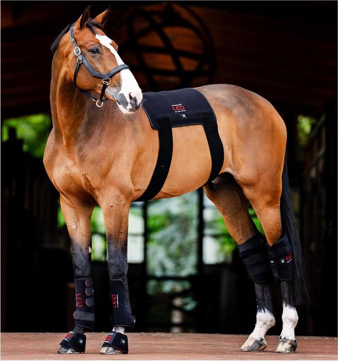 Image du produit Horseware LED