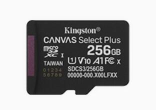Actual product image Kingston Canvas Select Plus (256 GB, microSDXC, U1, UHS-I)