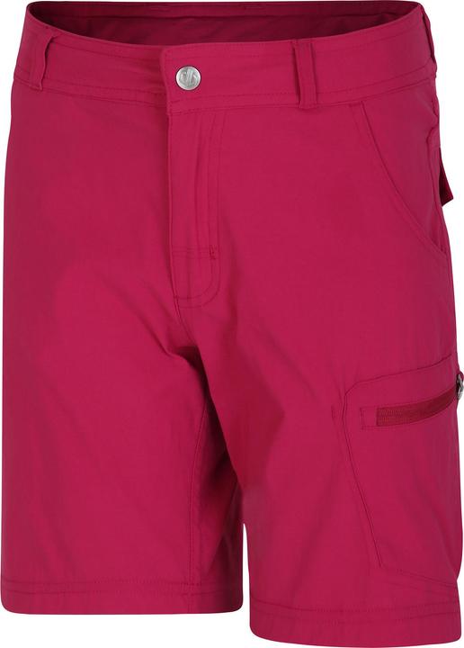 Actual product image Dare2b Childrens/Kids Reprise II Shorts (164)