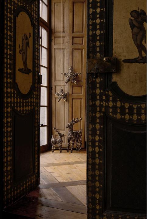 Image du produit STT Natural reindeer