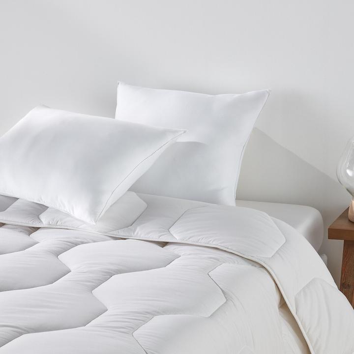 Image du produit La Redoute Interieurs LRI Standard (65 x 65 cm)