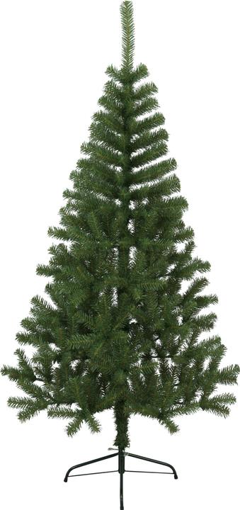 Produktbild Star Trading Kanada (180 cm)