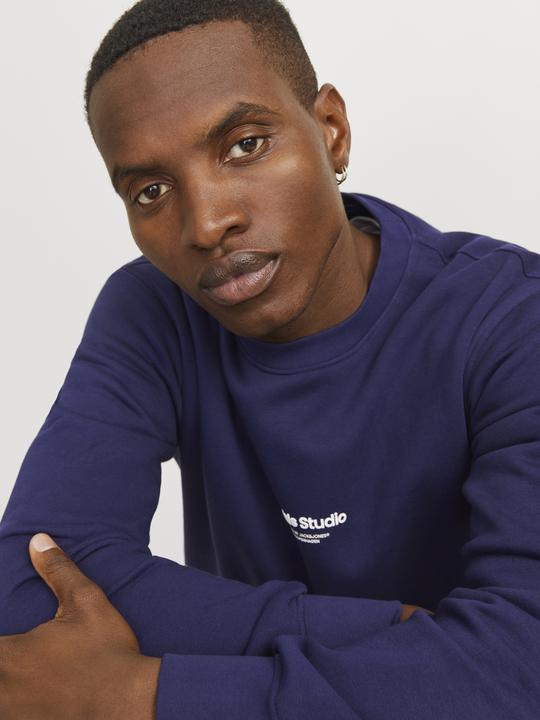 Produktbild Jack & Jones Gedruckt Sweatshirt Sweatshirt (S)