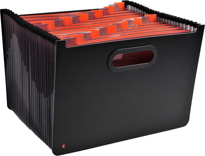 Produktbild Exacompta Fächermappe (A4, 36 x)