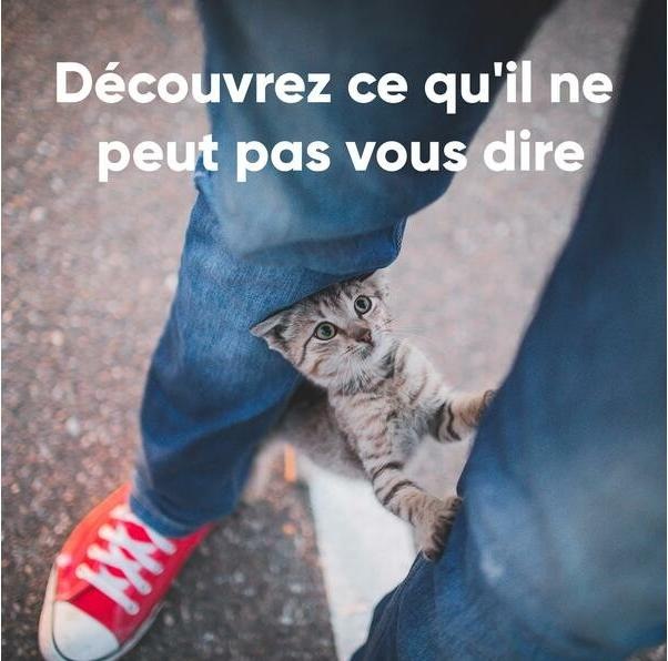 Image du produit Invoxia Pet GPS Tracker (Chien, Chat, Général)