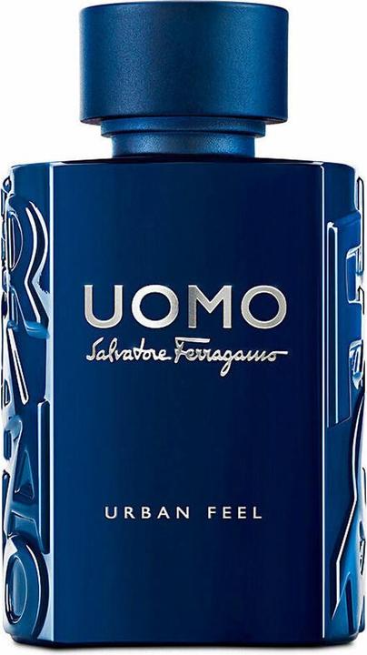 Actual product image Salvatore Ferragamo Uomo Urban Feel (Eau de toilette, 100 ml)