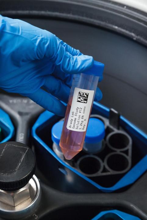 Actual product image Brady B33 Series environmentally friendly white polyester labels in matt finish (8.51 cm)