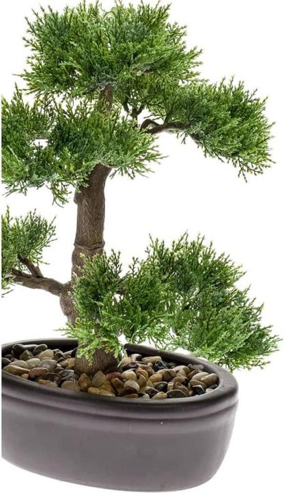 Productafbeelding Emerald Kunstmatige plant (6.50 cm)