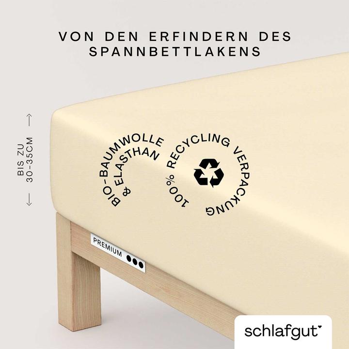 Produktbild schlafgut Premium (120 x 200 - 130 x 220 cm)