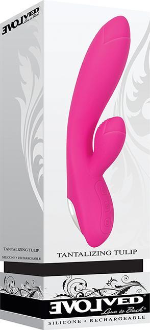Actual product image Evolved Tempting tulip