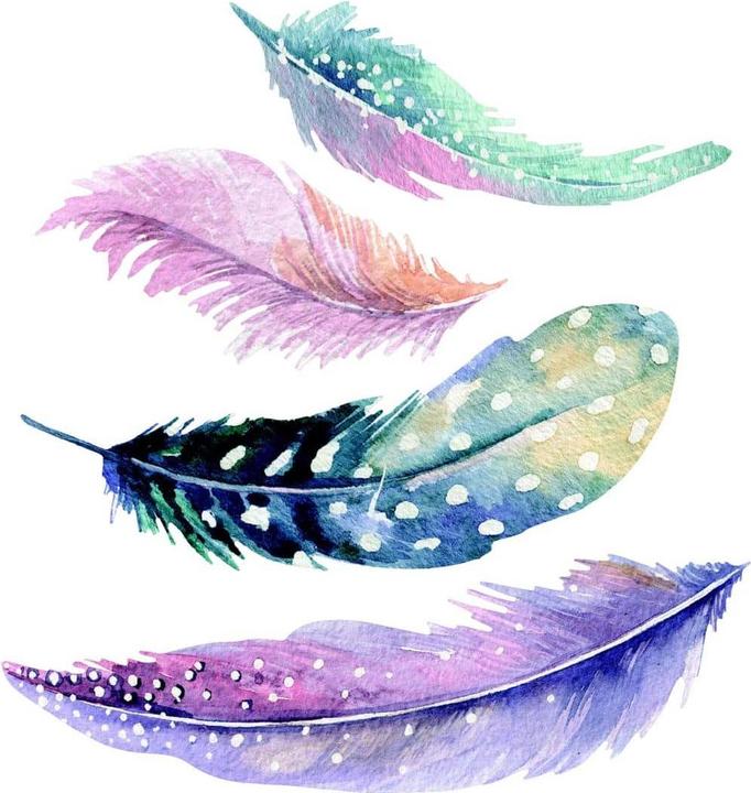 Image du produit Trenddeko Aquarelle Plumes 2 (60 x 62 cm)