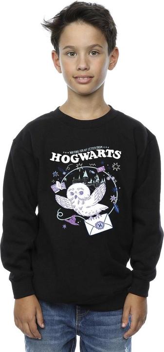 Produktbild Owl Letter From Hogwarts Sweatshirt Jungen (152, 158)