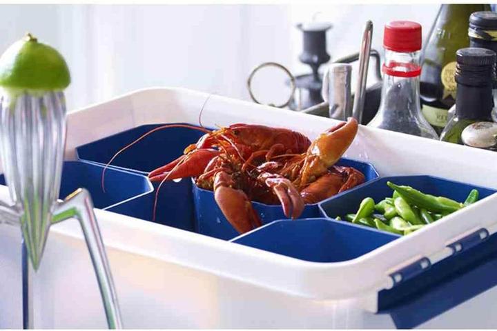 Immagine prodotto Orthex Scatola professionale (50 x 39 x 26 cm, 32 l)