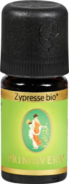 Primavera Zypresse* bio