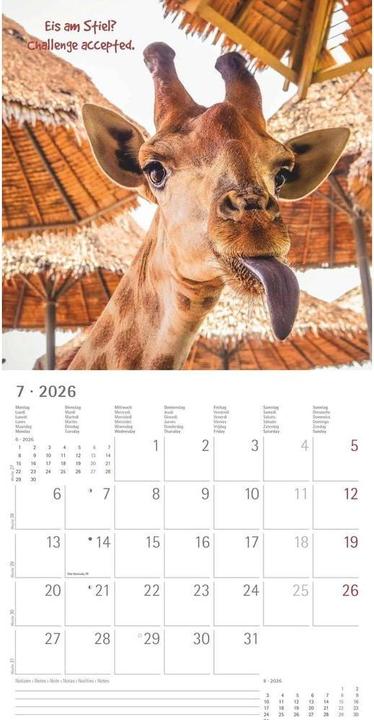 Produktbild Alpha Edition Funny Animals 2026