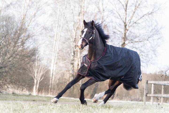 Produktbild Catago Dual Pro 100 g (145 cm)