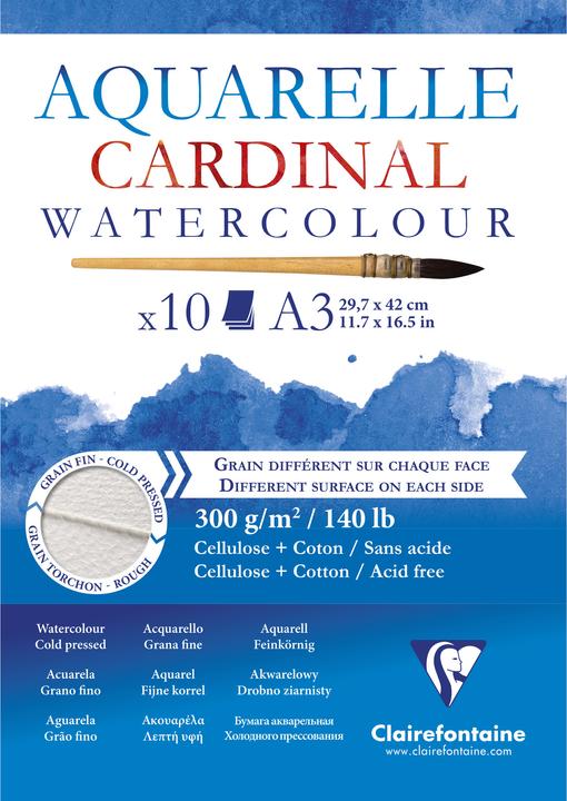 Image du produit Clairefontaine Techniques humides (300 g/m², 120 x)