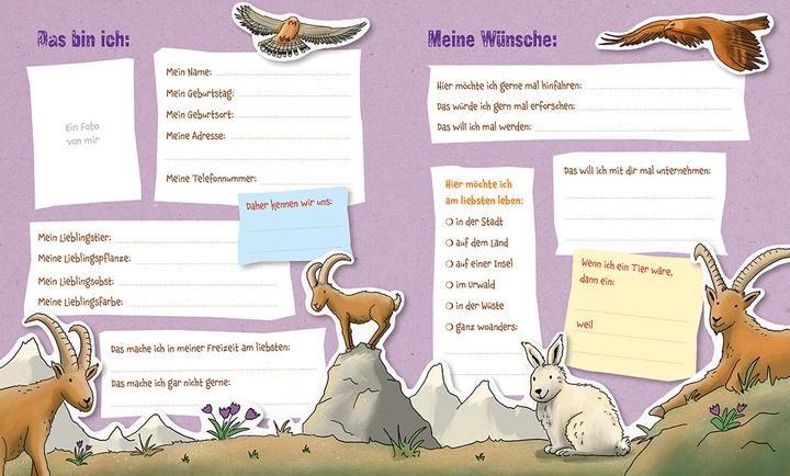 Produktbild Das Grüne Piraten-Freundebuch (Deutsch, Andrea Poßberg, Corinna Böckmann, 2018)