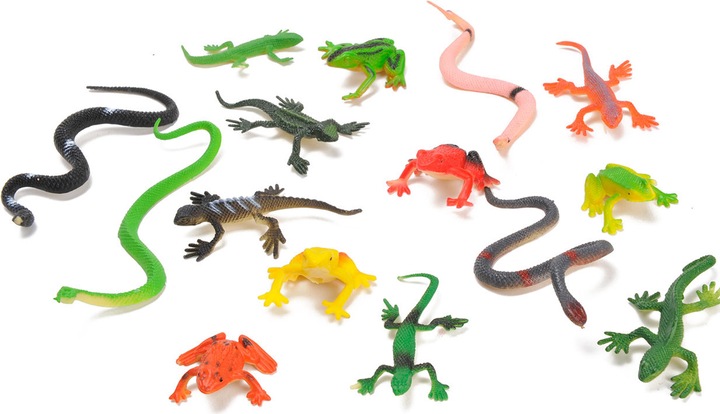 Actual product image LG-Imports Reptiles