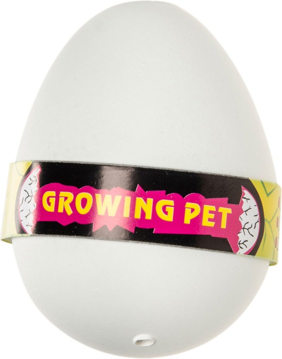 Actual product image LG-Imports Growth Eipenguin