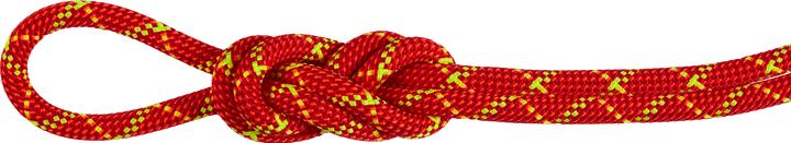 Produktbild Mammut 8.0 Alpine Core Protect Dry Rope (70 m)